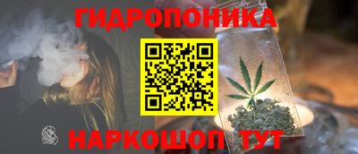 винт Камышлов