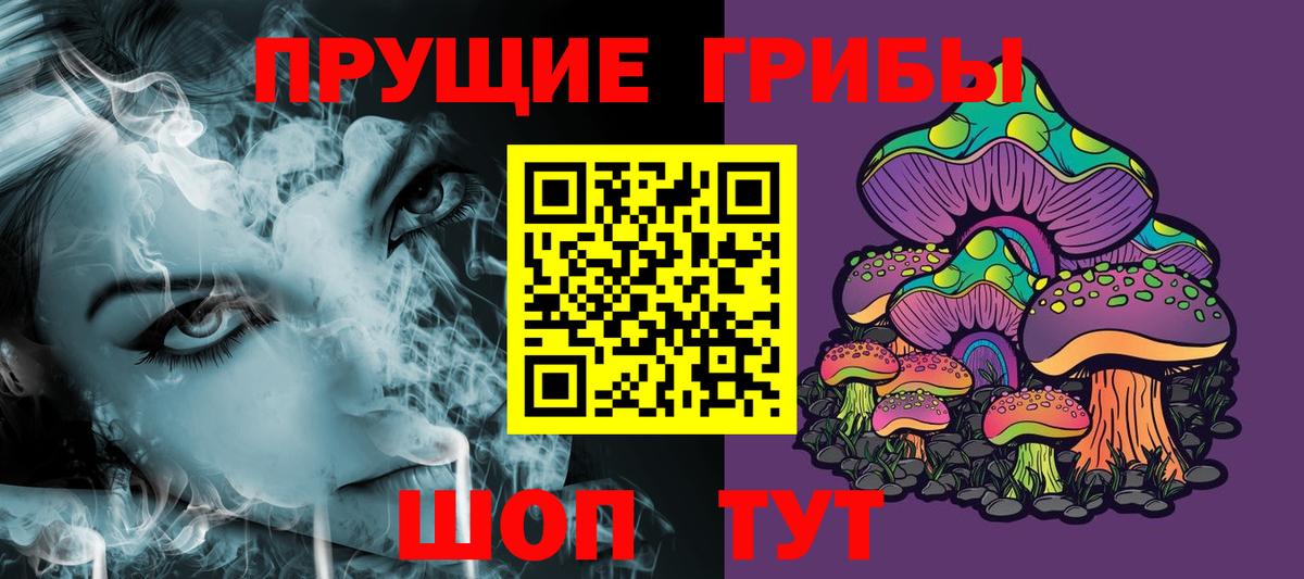Псилоцибиновые грибы Magic Shrooms  купить  цена  Кулебаки  Вход с VPN 